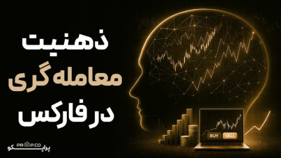 ذهنیت معامله‌گری در فارکس؛ تفاوت تفکر ثابت و رشدگرا