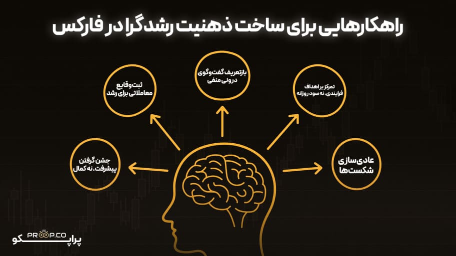 راهکارهایی برای ساخت ذهنیت رشدگرا در فارکس و رمزارزها